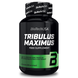 Tribulus Maximus (90 таб) БТ-000018 фото 1
