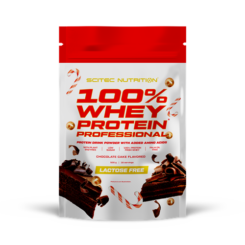 100% Whey Protein Professional (500 гр.), Chocolate cake ПР-400198 фото