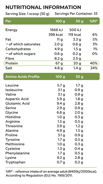 Vegan Protein 1000 g, Chocolate ВИТ-186834 фото