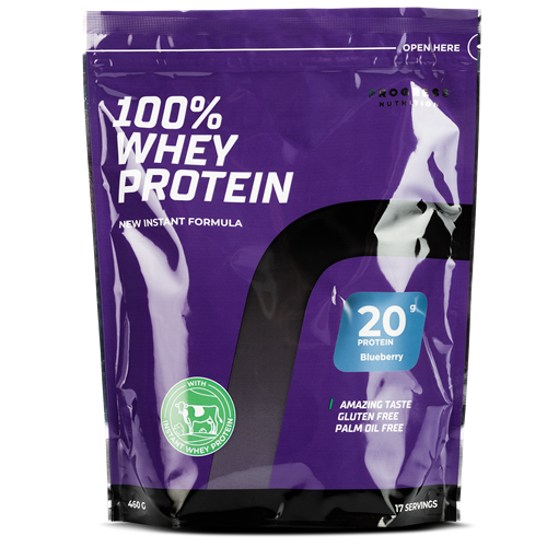 100% Whey Protein New Instant Formula (460 г), Blueberry ВИТ-183933 фото